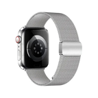 Plateado / 38/40/41 mm